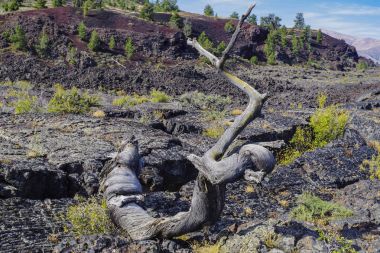 Grand Canyon ve Colorado Nehri güneşli bir günde, Arizona ABD