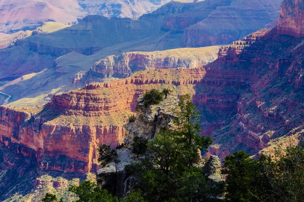 Grand Canyon és a Colorado folyó, egy napsütéses napon, Arizona Usa — Stock Fotó