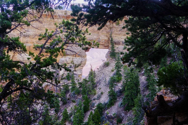 Grand Canyon ja Colorado River aurinkoisena päivänä, Arizona Yhdysvallat — kuvapankkivalokuva