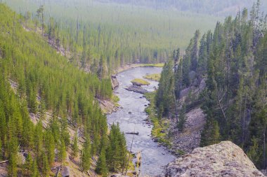 Şelale Yellowstone Nehri'nin Yellowstone Milli Parkı'nda