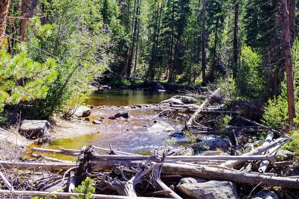 Rocky Mountains es una cordillera en los Estados Unidos —  Fotos de Stock