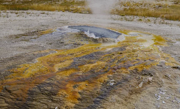 Εθνικό πάρκο Yellowstone ΗΠΑ και γεωθερμικές πηγές — Φωτογραφία Αρχείου