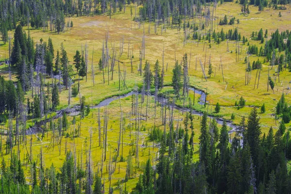 Parque Nacional de Yellowstone EE.UU. y manantiales geotérmicos —  Fotos de Stock