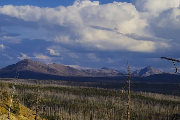 Parque Nacional de Yellowstone EE.UU. y manantiales geotérmicos —  Fotos de Stock