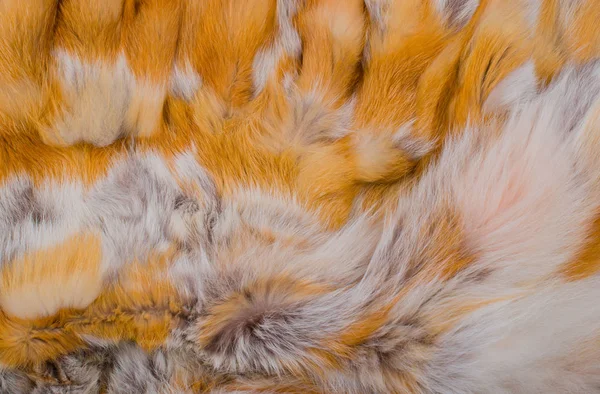 Texture et fond de fourrure de renard roux — Photo