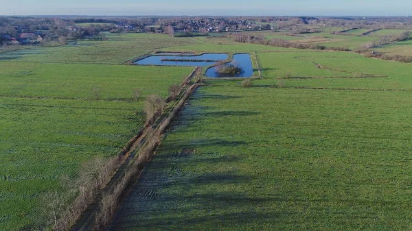 Moorlandschaft Einem Sonnigen Tag Mit Blauem Himmel — Stockfoto