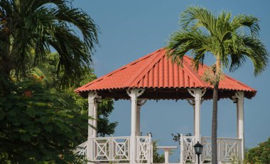 Palmiye Küba Varadero üzerinde