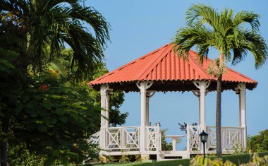 Palmiye Küba Varadero üzerinde