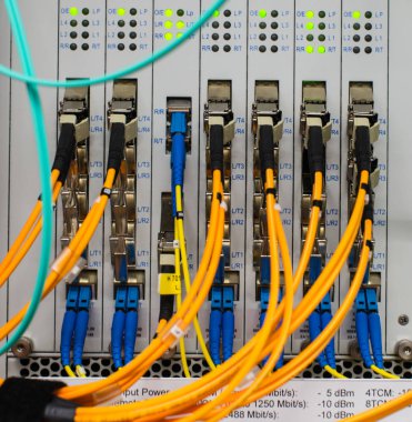 Fiber optik ışık dalga kılavuzu veri merkezi bir switch üzerinde