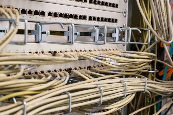 네트워크 데이터 센터에 허브에 네트워크 케이블 — 스톡 사진
