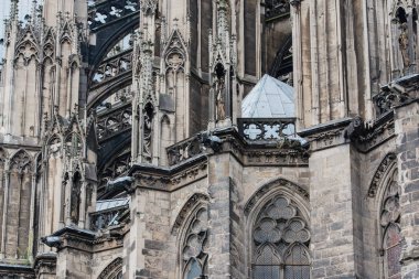 Köln Katedrali ve Hohenzollern Köprüsü