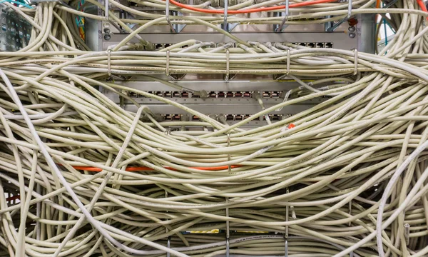 Netzwerkkabel Auf Einem Netzwerk Hub — Stockfoto