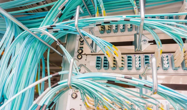 Network cable on a network HUB