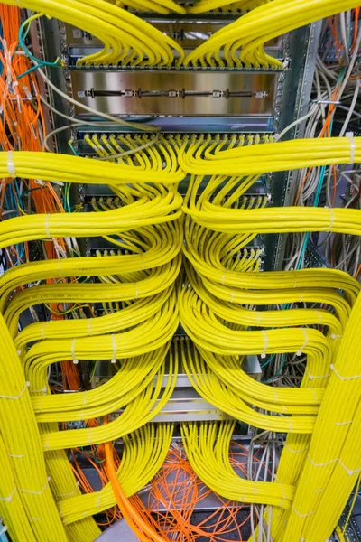 네트워크의 네트워크 케이블 Hub — 스톡 사진