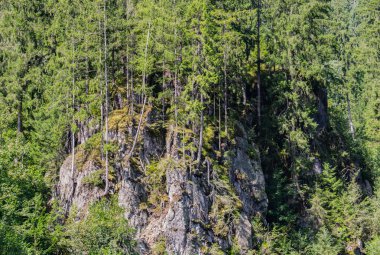 Avusturya 'daki dağlar Zillertal' deki Mayrhofen