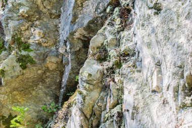 Avusturya 'daki dağlar Zillertal' deki Mayrhofen