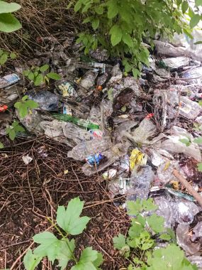 Orman çevre kirliliği plastik çöp