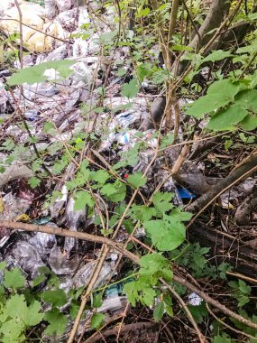 Orman çevre kirliliği plastik çöp