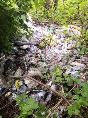 Orman çevre kirliliği plastik çöp