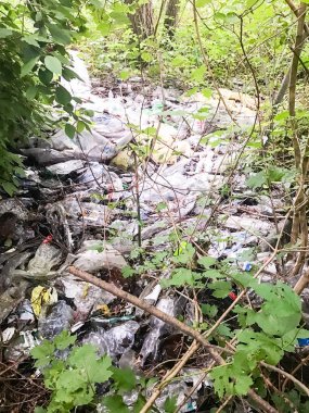 Orman çevre kirliliği plastik çöp