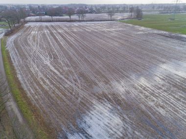 Aerial view of Corn fields after a rainy season clipart