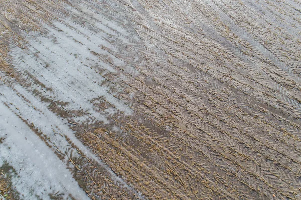 Αεροφωτογραφία Των Πεδίων Καλαμποκιού Μετά Από Μια Εποχή Βροχών — Φωτογραφία Αρχείου