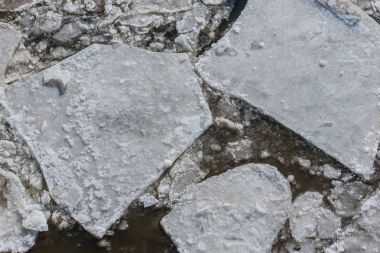 Buzlar Hamburg liman içinde