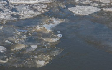 Ice floes in the port of Hamburg clipart