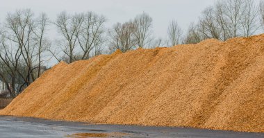 Talaş ve odun malç büyük yığını