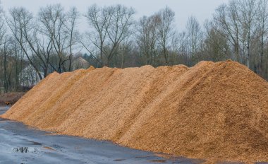 Talaş ve odun malç büyük yığını