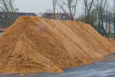 Talaş ve odun malç büyük yığını