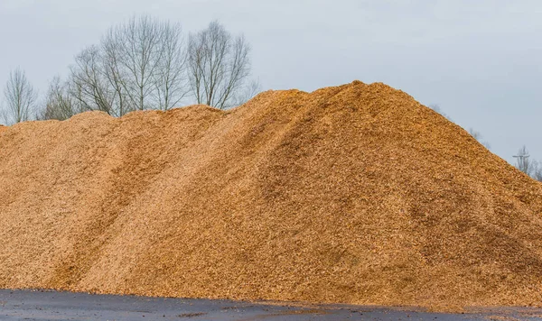 Großer Haufen Holzspäne Und Holzmulch — Stockfoto