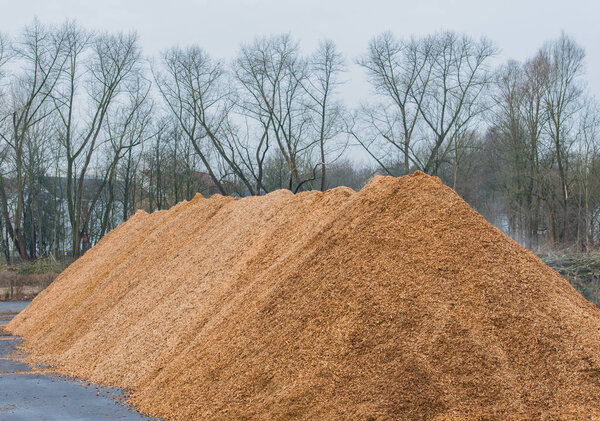 Big pile of wood shavings and wood mulch