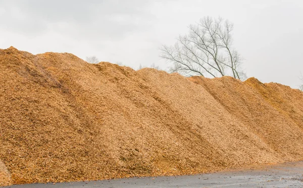 Big Pile Wood Shavings Wood Mulch — Stock Photo, Image