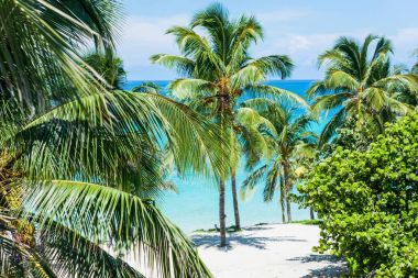 Küba 'daki Karayip sahilinde beyaz kum ve turkuaz su 