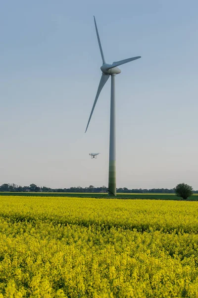 Lot Dronów Widok Lotu Ptaka Nad Polem Gwałtu — Zdjęcie stockowe