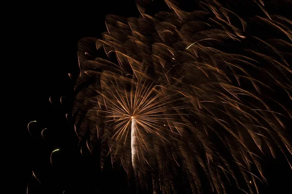 Lunga Esposizione Fuochi Artificio Cavallo Dell Anno — Foto Stock