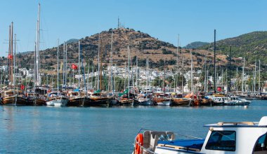 Türkiye 'nin Bodrum limanında tekne ve yatlar