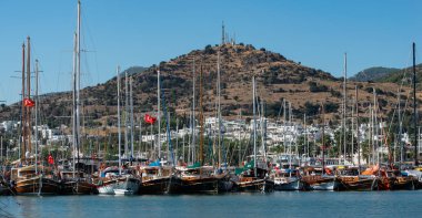 Türkiye 'nin Bodrum limanında tekne ve yatlar