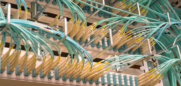 Netzwerk Switch Verbindungen Für Netzwerkkabel Rj45 Und Glasfaserkabel — Stockfoto