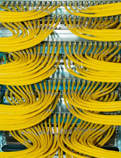 Διακόπτης Δικτύου Και Καλώδιο Δικτύου Rj45 Patch Cable Data Center — Φωτογραφία Αρχείου