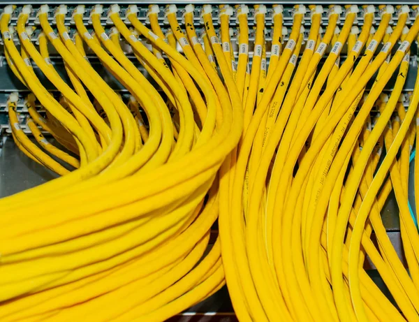 Nätverksväxel Och Nätverkskabel Rj45 Patch Kabel Ett Datacenter — Stockfoto