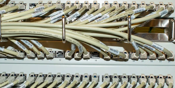 データセンター内のネットワークスイッチとネットワークケーブルRj45パッチケーブル — ストック写真