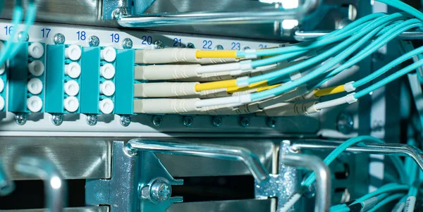Bir veri merkezinde ağ anahtarı ve kablo fiber optik fiber