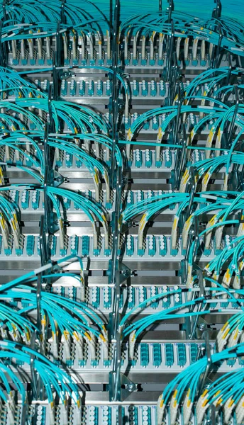 Nätverksbrytare Och Fiberoptisk Fiber Ett Datacenter — Stockfoto