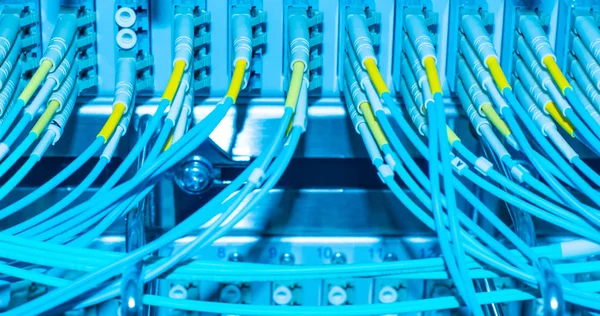 Network Switch Network Cable Fiber Optic Fiber Data Center — Stock Photo, Image