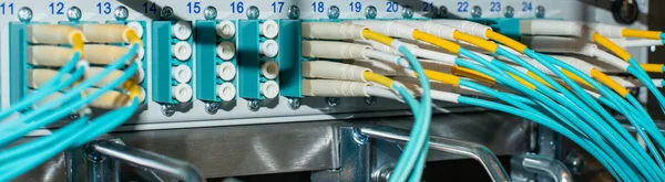 Network switch and network cable fiber optic fiber in a data center