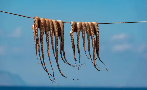 Traditionelle Griechische Meeresfrüchte Krake Hängt Der Leine Zum Trocknen Stockbild