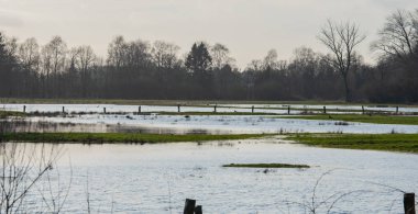 Bitmeyen yağmurdan dolayı çayırlar sular altında.