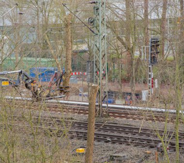 Ağaç bakımı kazıcıyla temizleniyor